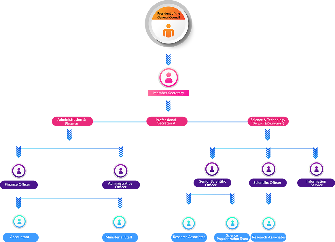 Team Chart